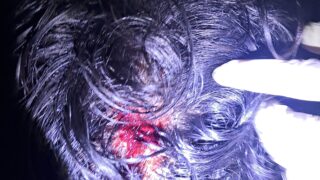 IMG 20240827 WA0007
