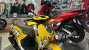 Asmo Sulsel Rayakan HUT ke-80 RI dengan Promo Sepanjang Agustus